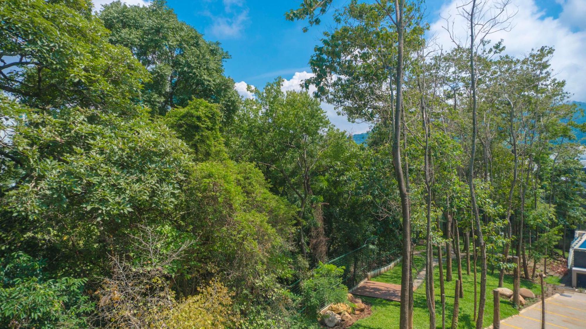 Bee Suites Santa Ana Santa Ana  Zewnętrze zdjęcie